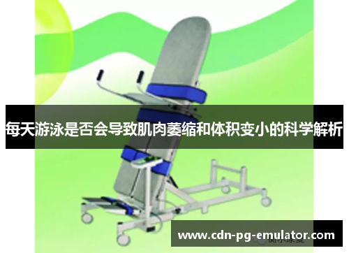 每天游泳是否会导致肌肉萎缩和体积变小的科学解析 每天游泳是否会导致肌肉萎缩和体积变小的科学解析