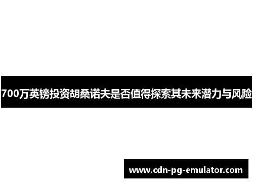 700万英镑投资胡桑诺夫是否值得探索其未来潜力与风险 700万英镑投资胡桑诺夫是否值得探索其未来潜力与风险