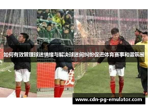 如何有效管理球迷情绪与解决球迷间纠纷促进体育赛事和谐氛围