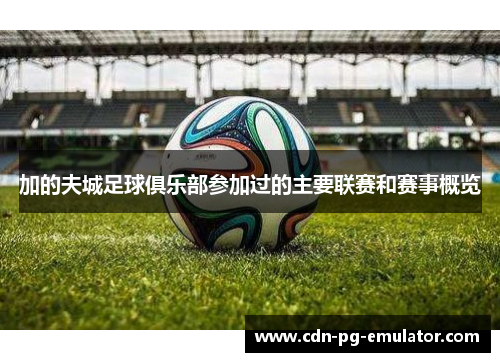 加的夫城足球俱乐部参加过的主要联赛和赛事概览 加的夫城足球俱乐部参加过的主要联赛和赛事概览